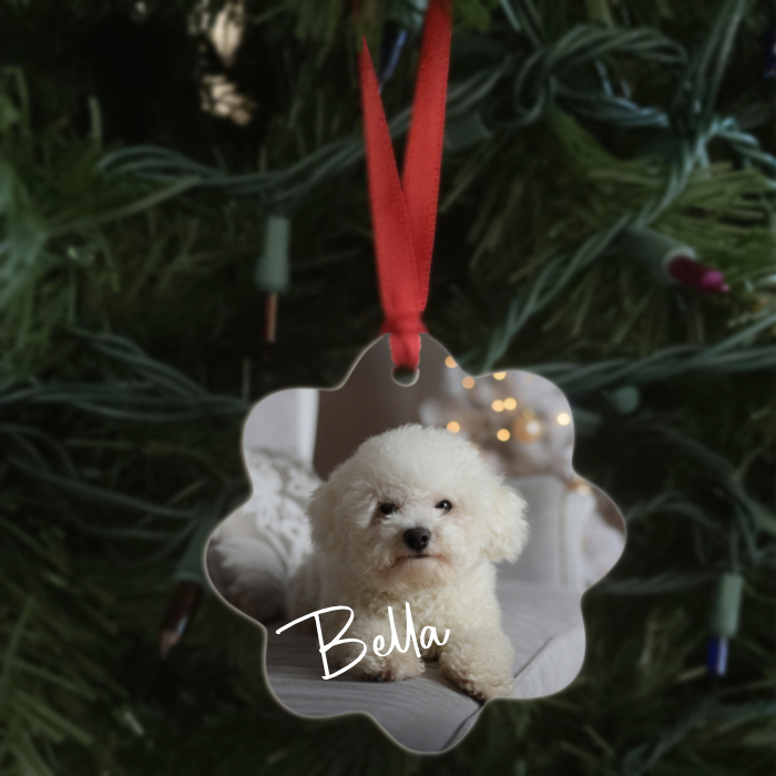 Bella's Christmas Ornament